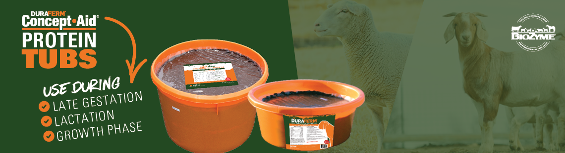 Use Concept Aid Protein Tubs during late gestation, lactation, growth phase