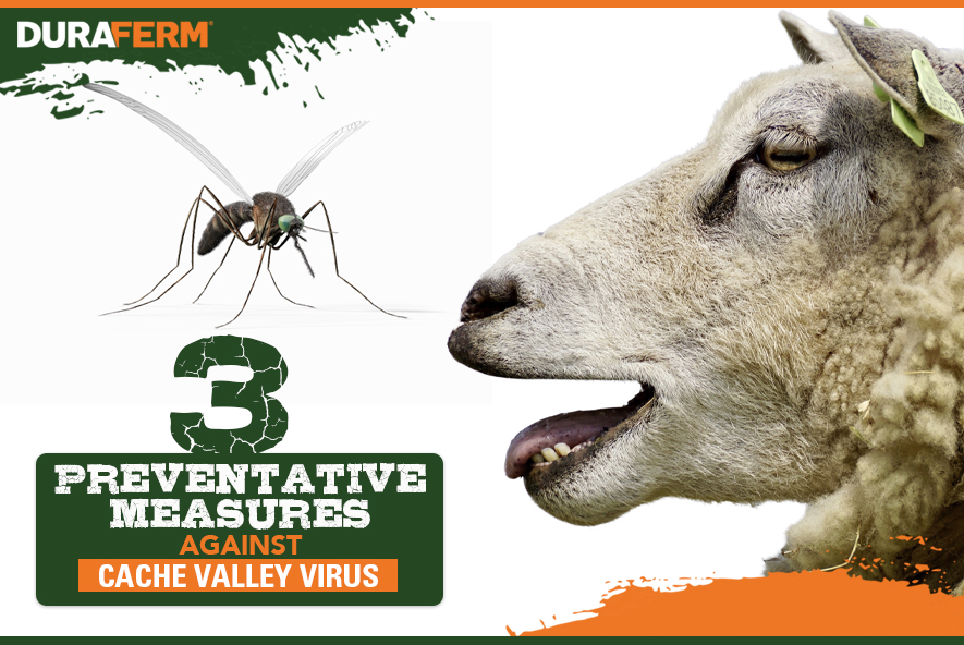 3 Preventative Measures Against Cache Valley Virus DuraFerm