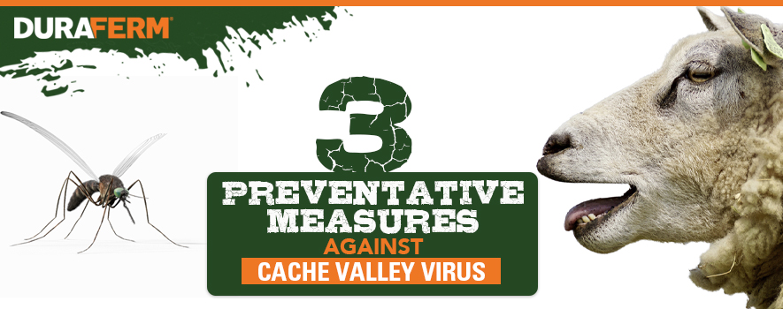 3 Preventative Measures Against Cache Valley Virus - DuraFerm