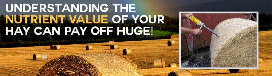 Understanding the nutrient value of your hay can pay of huge!
