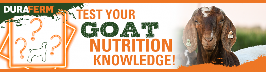 Goat Health Quiz - DuraFerm